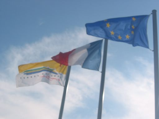 Les drapons